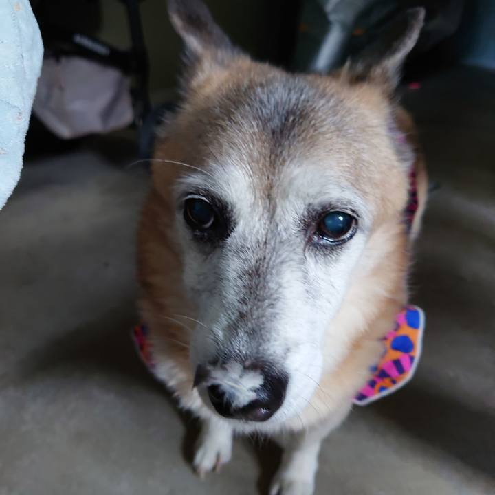 Bff316e9 f6d4 4c2e 8feb 1c08e34da150 1729510425813