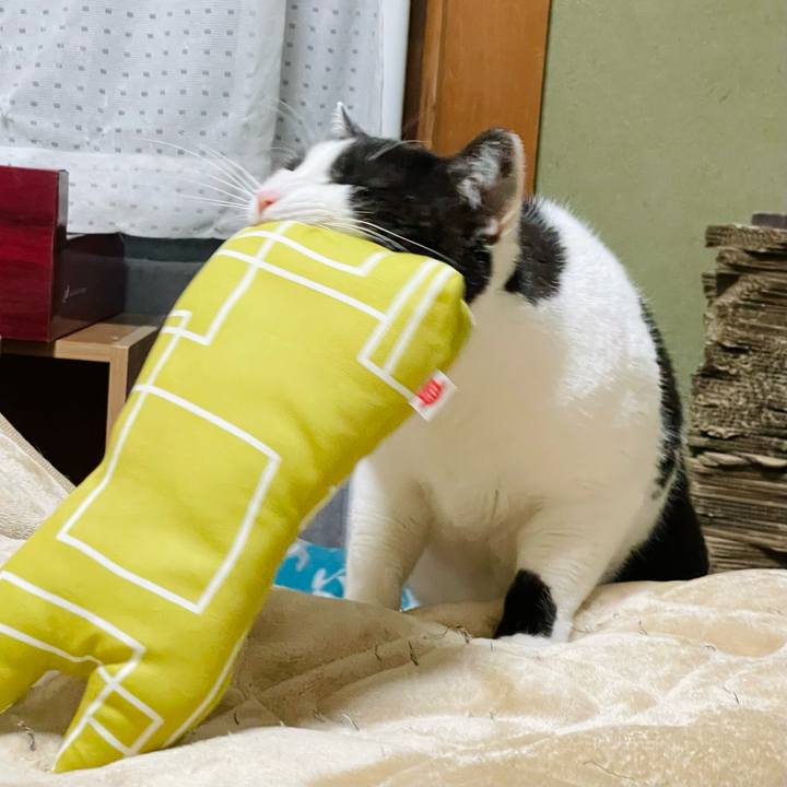 Bff31fbf 7a48 49b5 b654 d40b90318b6e 1653618238766