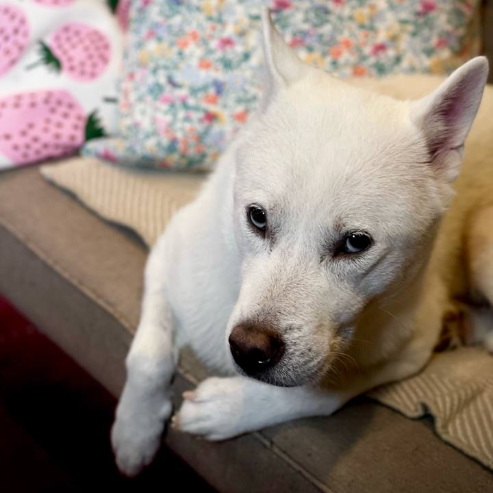 Bff32c46 7bfb 4908 a84c 1986c1d9b18c 1697796079277