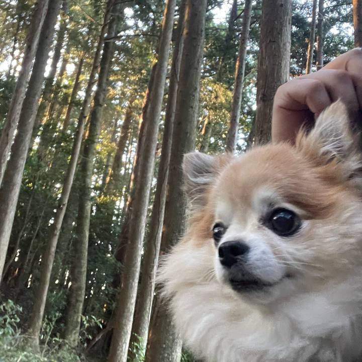 Bff34b19 012b 49ff 9326 c5b67585b4a6 1756677780253