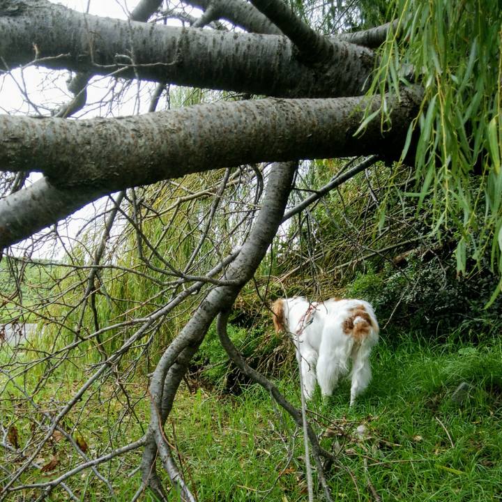 Bff3613d 5c45 4986 a013 c3180a066959 1536883810606