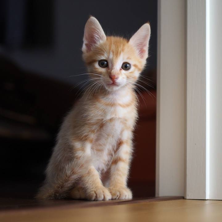 Bff36c1d 0ad1 426c ac40 95c083ab02ce 1570509260215