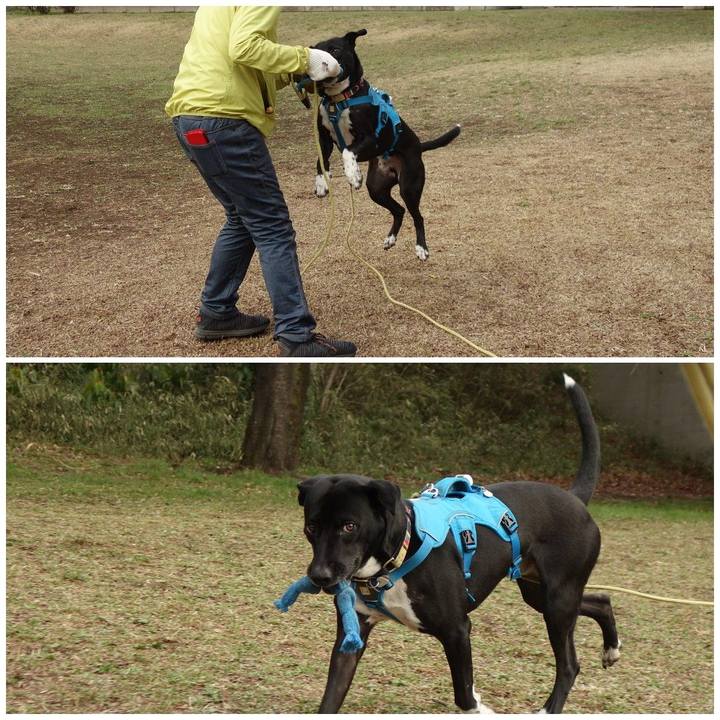 Bff3aca7 c1e0 4aec bf19 e8088320da2b 1615250634723