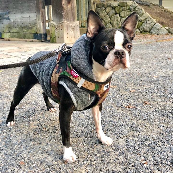 Bff3c090 8c69 4438 9b89 dc78af4d493c 1511785528831