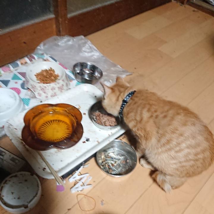 Bff3ed48 f672 4e28 8907 d1ac4bffadf9 1634243044151