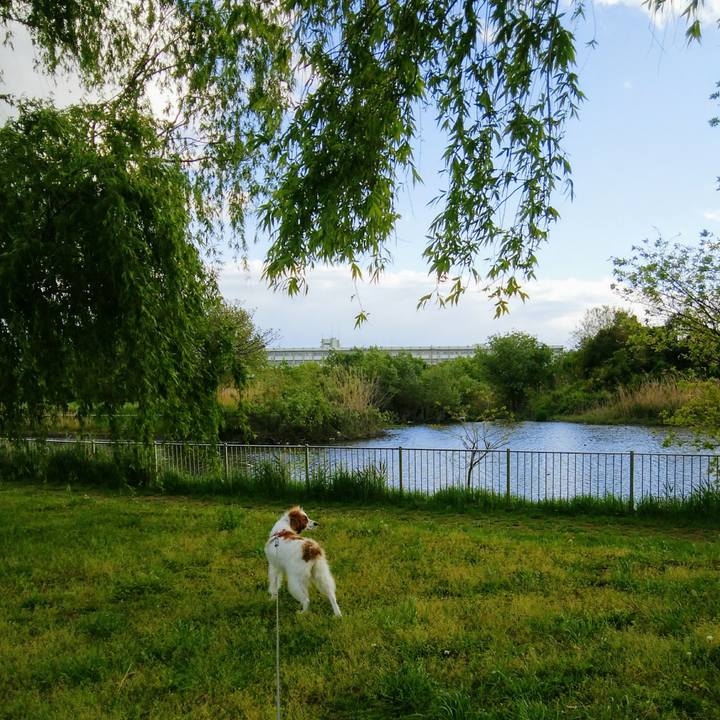 Bff42d4b 94d5 412d 941c 9d15f09ab1ba 1556365906462