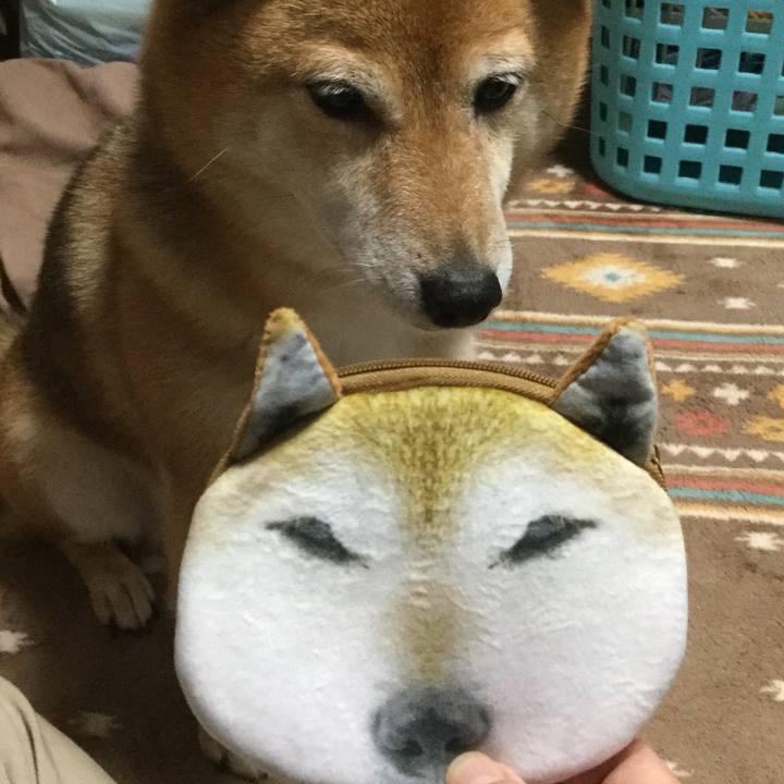 Bff443c0 671f 4cc3 b5f9 6c09cd62208f 1559886849808