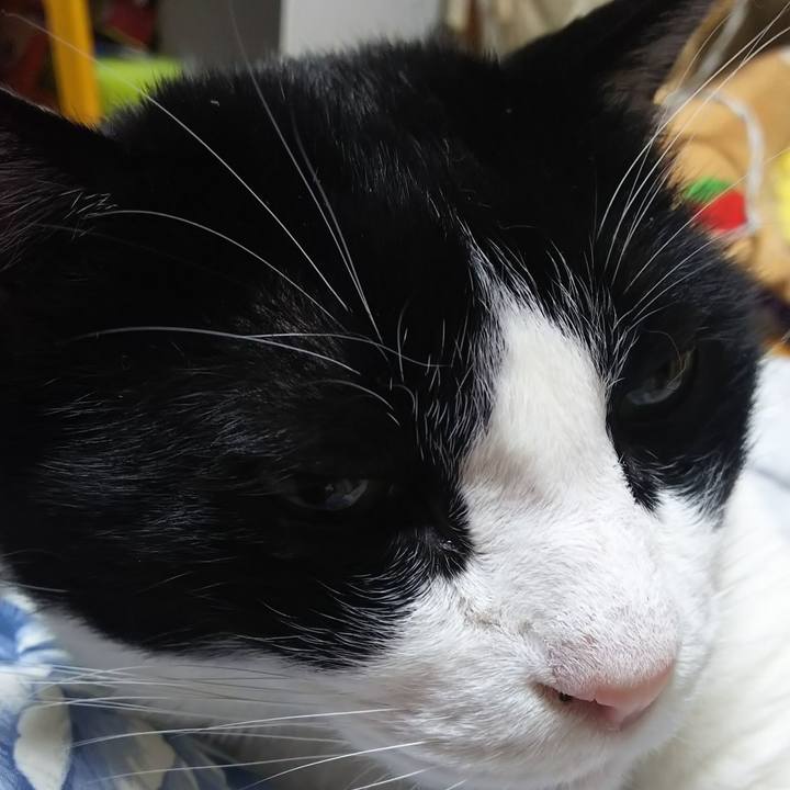 Bff45913 6bd3 4f24 9adb aec3953ec649 1575183421745