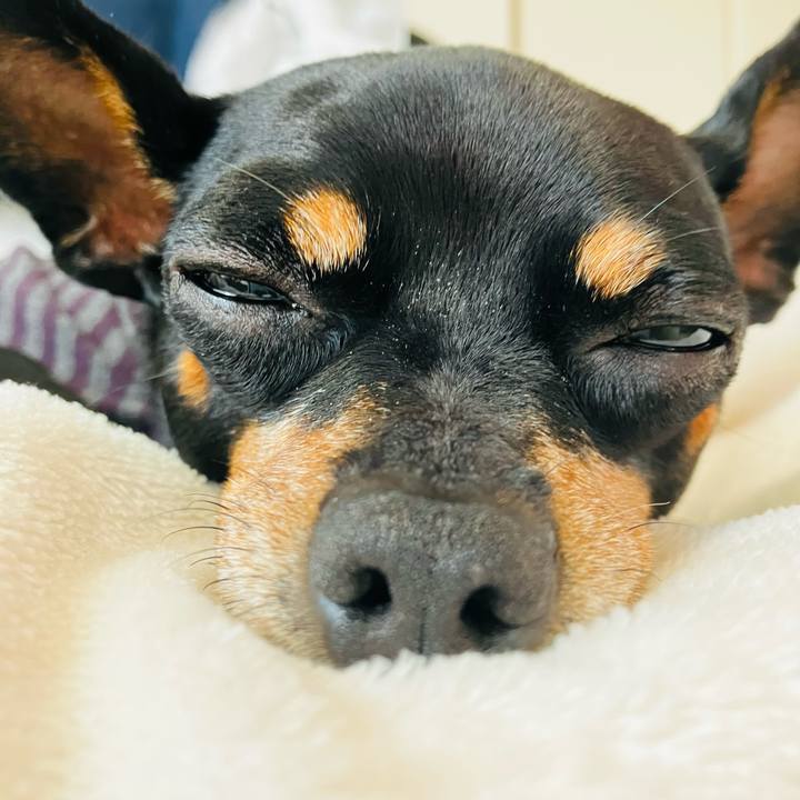 Bff481eb 595f 4897 a274 7365756aef8a 1752272765862