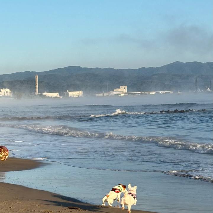 Bff4b0de b8ff 49d2 8cec 6127dd523185 1762212169566