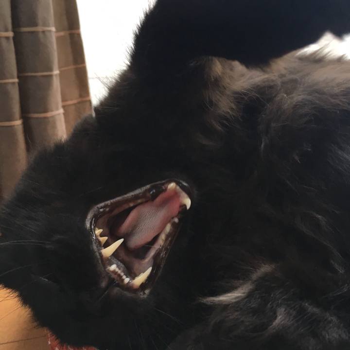 Bff4ff2e da7e 4159 b1ca 655ca07dd49b 1530666454382