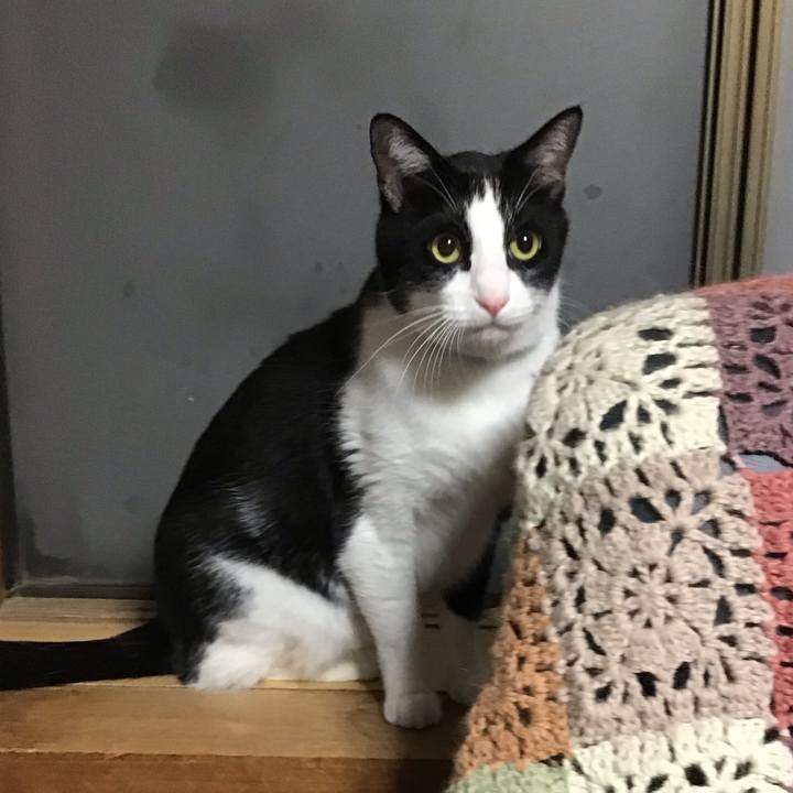 Bff50900 ff88 409f bca5 1d55d87d753d 1730800937447