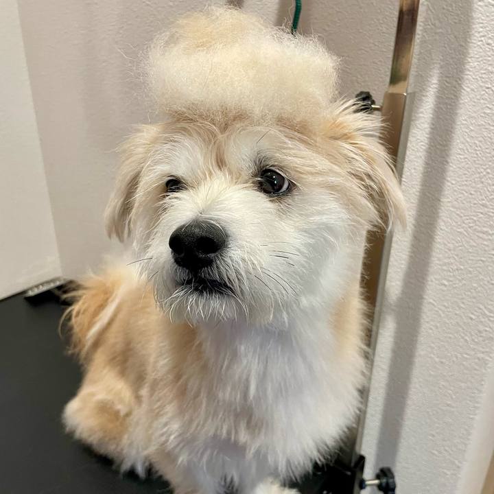 Bff5753e 2716 41f4 954a 807d2a6c140e 1759096322980