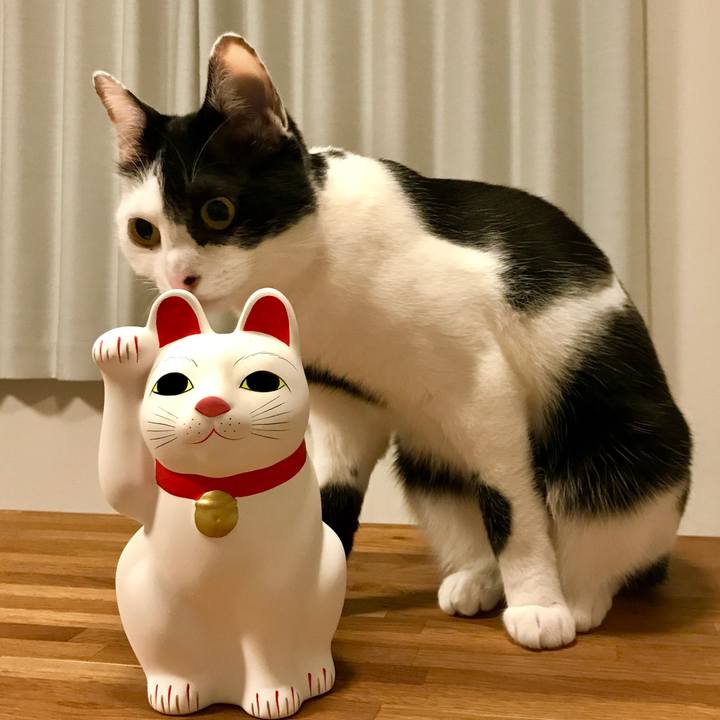 Bff57543 af5d 450f 8cd1 46a0732b237a 1520075934199