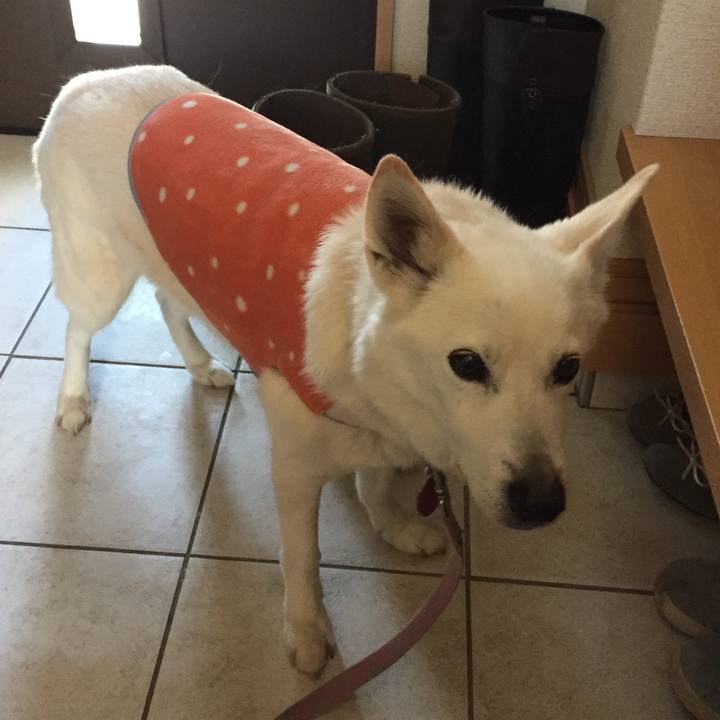 Bff6067a 33bd 4dc1 a2c1 b5db7c54ed73 1540267719794