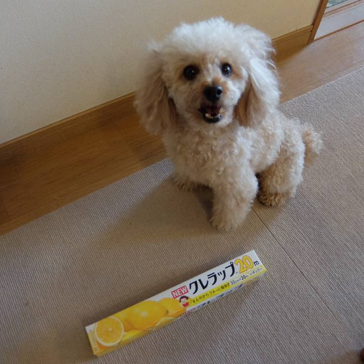 Bff61213 9f92 47ec 8fea 40544903e1ad 1633936412214