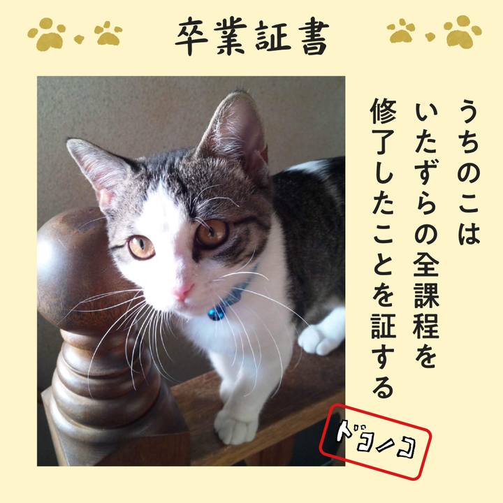 Bff61a66 fbe2 470d b6aa 1c6c26a47dd3 1772342336620