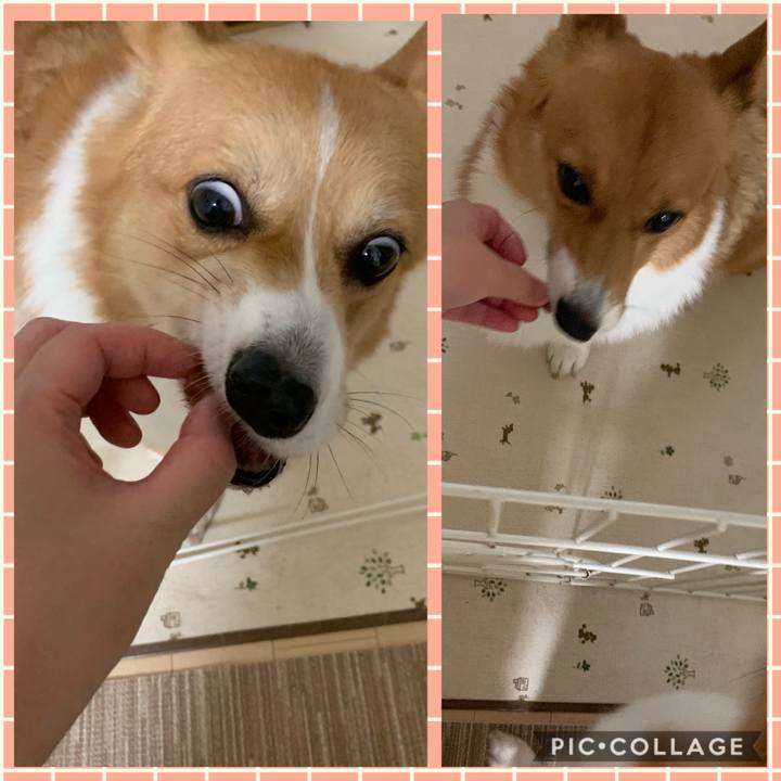 Bff62688 88d4 43bc a30d a30425f6ec6c 1567046873588