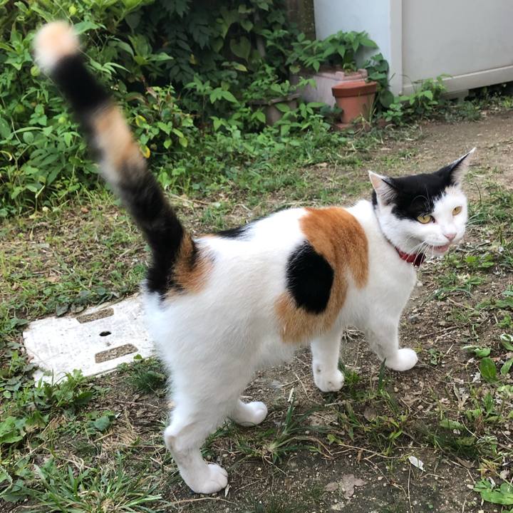 Bff65a38 391b 46c0 b18b ae47117b02c5 1632308507197