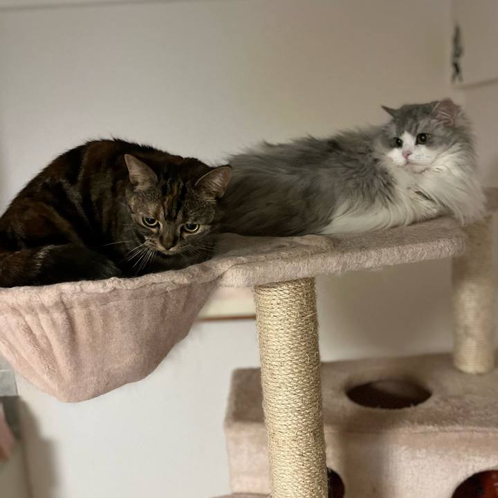 Bff67585 b06c 40ae 8476 d98e6dc0b4e1 1665309882749