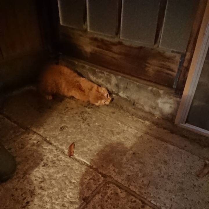 Bff69766 bebb 4f01 8535 e039380692f7 1639649474949