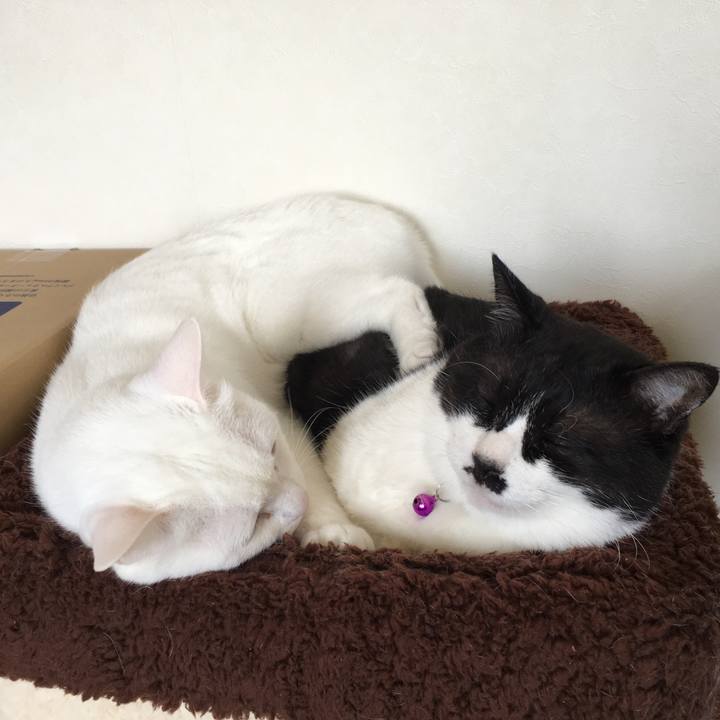 Bff6b0e5 5ecb 4f05 90de da9dd969f1da 1566620729260