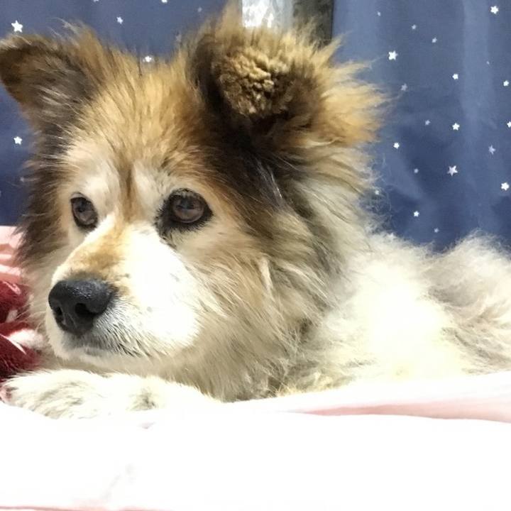 Bff6b66a b7c0 427e afd1 c1a44a701ae8 1604337242995