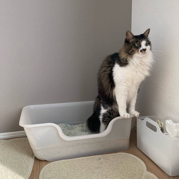 Bff6e400 92c1 42c0 9c82 64498d865cd4 1722755648573