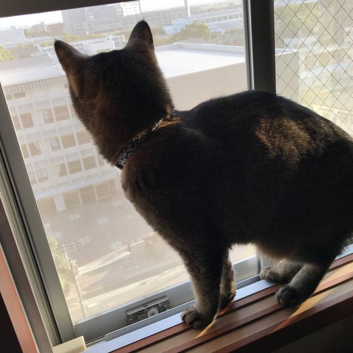 Bff6e636 08da 4c32 b7aa bc5187064669 1568870962364