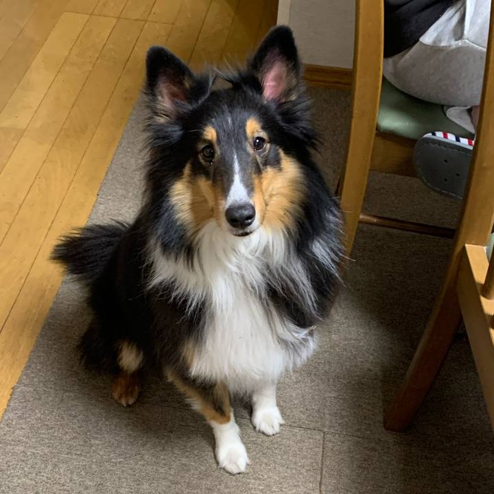 Bff71ad8 0369 430d 9b3d a14544f6cd0b 1580161924000