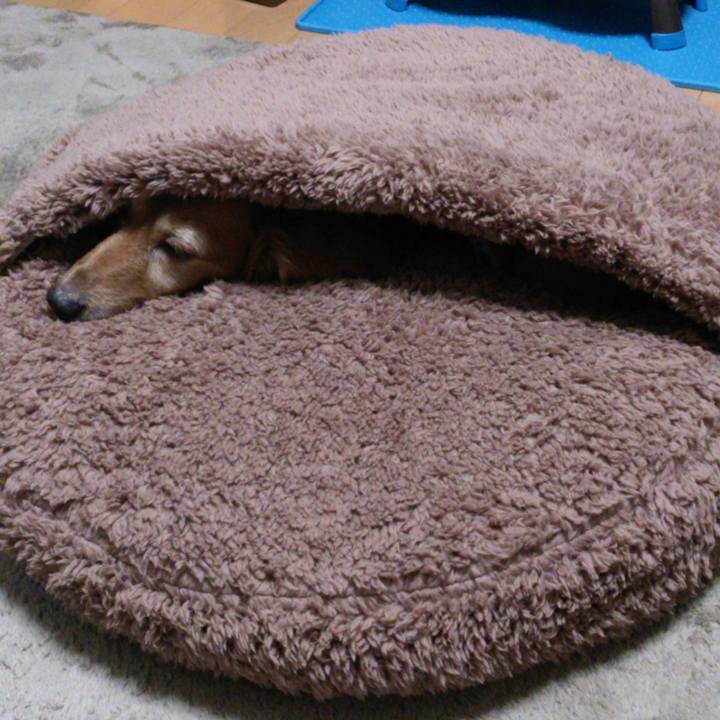 Bff73075 eede 43c0 a24c cf5e4a4087eb 1585502096221