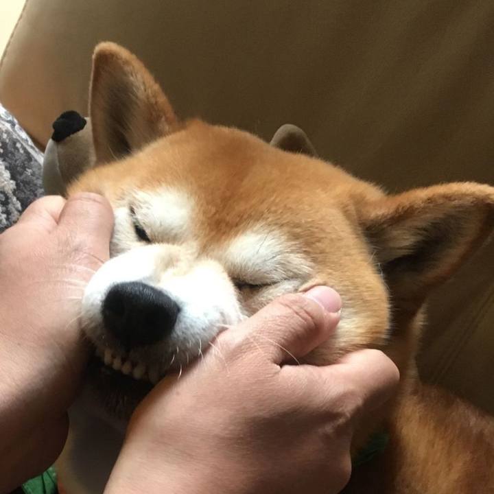 Bff744d9 4884 41fa 9880 8e0a7b591ca0 1557636055179