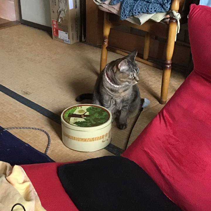 Bff80aaa 3704 4fab b911 7d8dd1059196 1717309428631