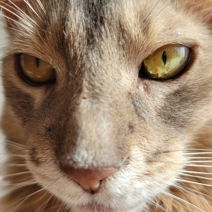 Bff82187 b39b 42e8 82d9 e8f2fb820d18 1638588290321