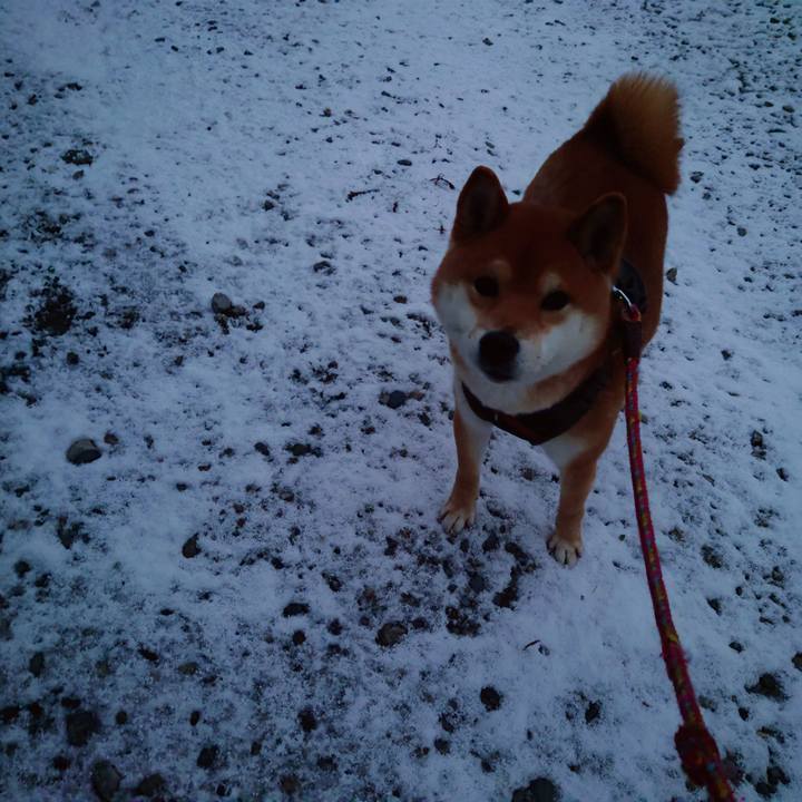 Bff82d37 4a4d 43f2 b63d eed007d00e30 1770608490088