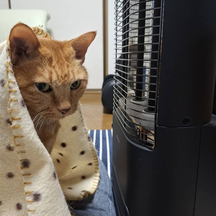 Bff859bb ce9a 4b24 bf65 780286dcea91 1732837113886