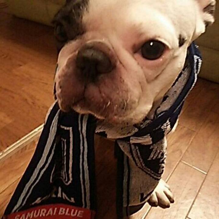 Bff86dca 4fe4 44c0 b958 44d947f25aa7 1530197758933