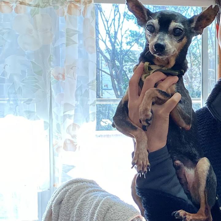 Bff882c1 093a 4b3d 9bcc 58359c29ae9b 1577525867118