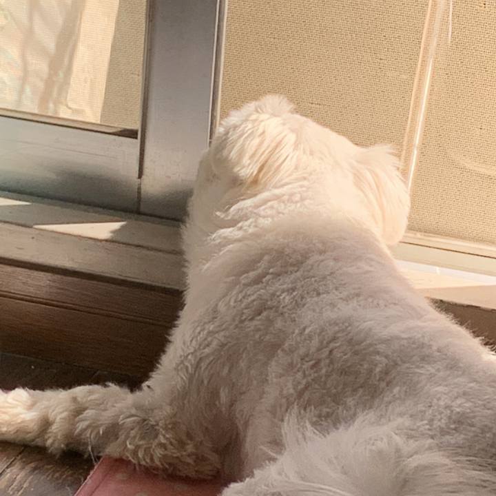 Bff89a18 b016 4e55 ae66 888ecc9beb19 1647005425044