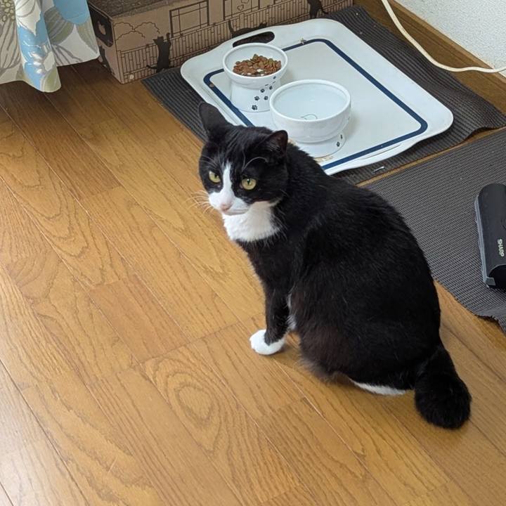 Bff89b65 4b06 44be bb9b 7f8f70af0437 1753170569700