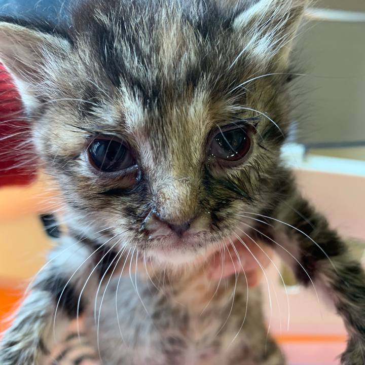 Bff8d7c9 b689 44e7 b161 f0e87f13bdeb 1556337147405