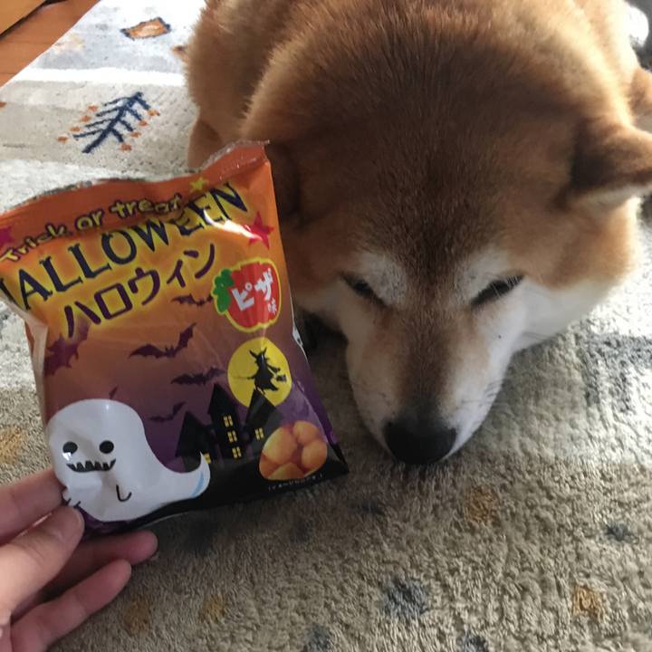 Bff8f683 e000 4503 b90a 56c6e7278aa8 1635642578001