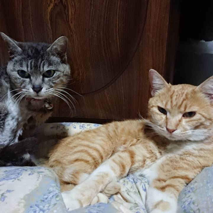 Bff948df 1d4d 4b36 aadc 9aab31797b0a 1590236112972