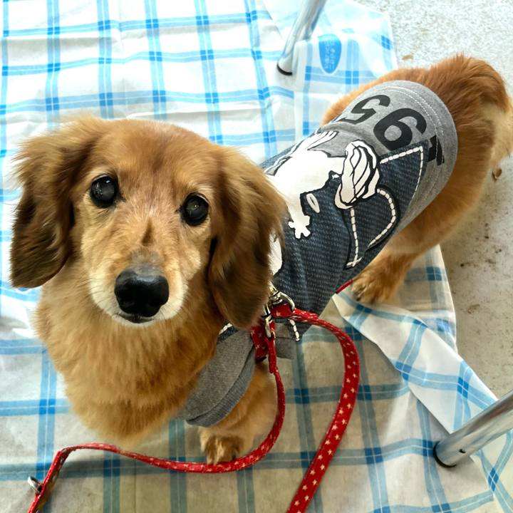 Bff98ddc f4ee 4a0a a044 8e2f3683729a 1651407085704