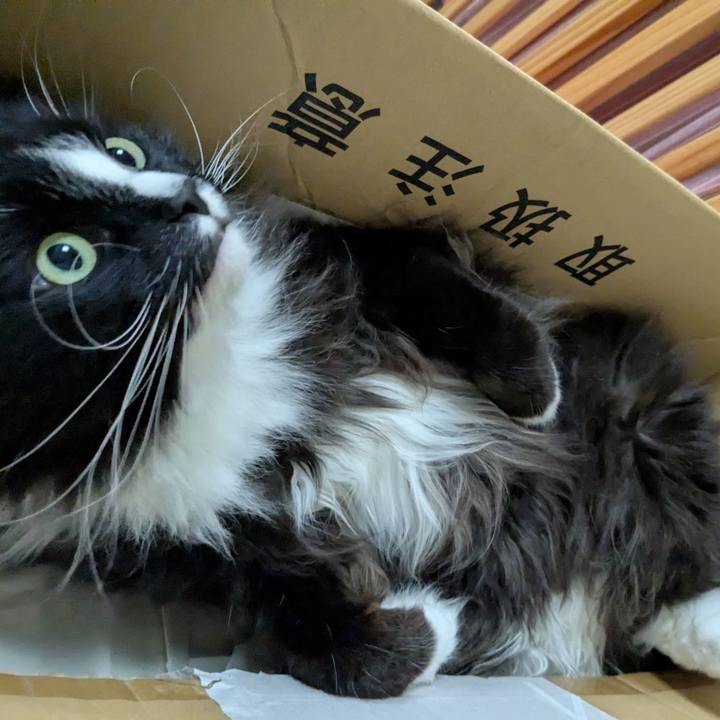 Bff9ca0b 2b2c 4c2c b25e 950d3a18448e 1745108709705