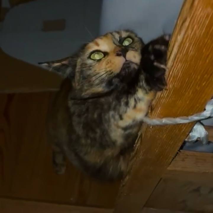 Bff9fb17 49bb 4673 91f3 236bfb07d058 1747079024869