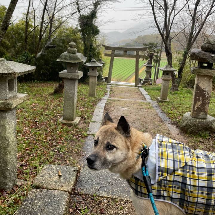 Bffa20b6 dbe7 43cf 849b 882d56c1d49a 1679390407007