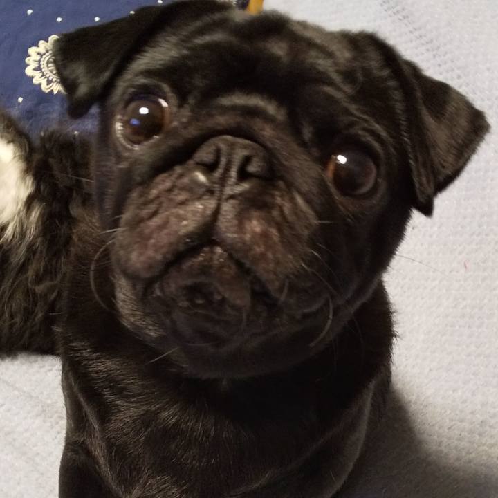 Bffa274a 0cb6 452c a0af dafc925f89a8 1593656988311