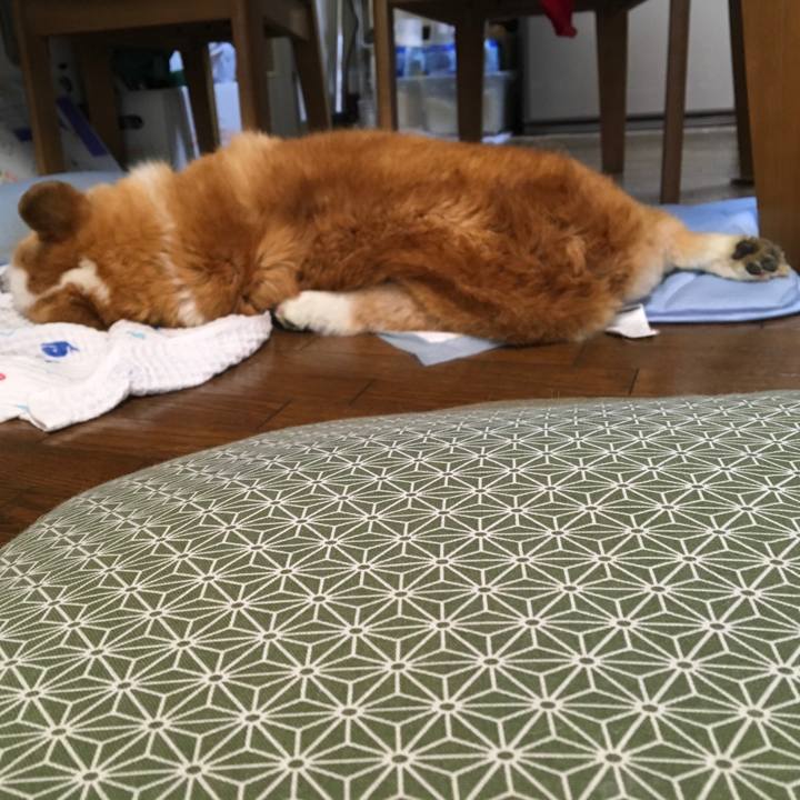 Bffa7a7e c321 43bb 8a8c 428475a491f7 1568877069355