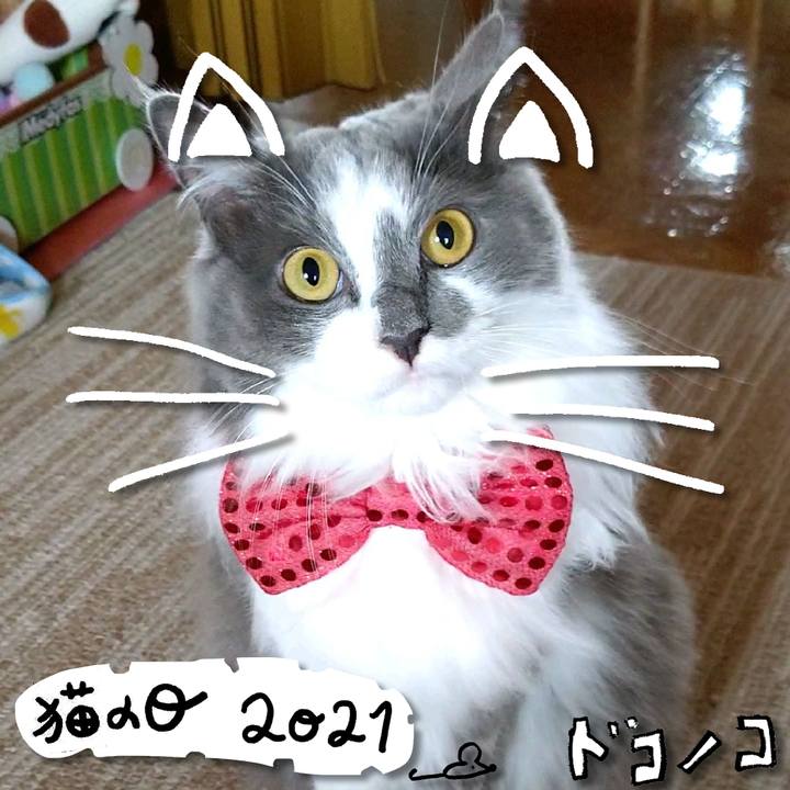 Bffa8440 7f75 400f aaf2 c107a9932491 1613988113961